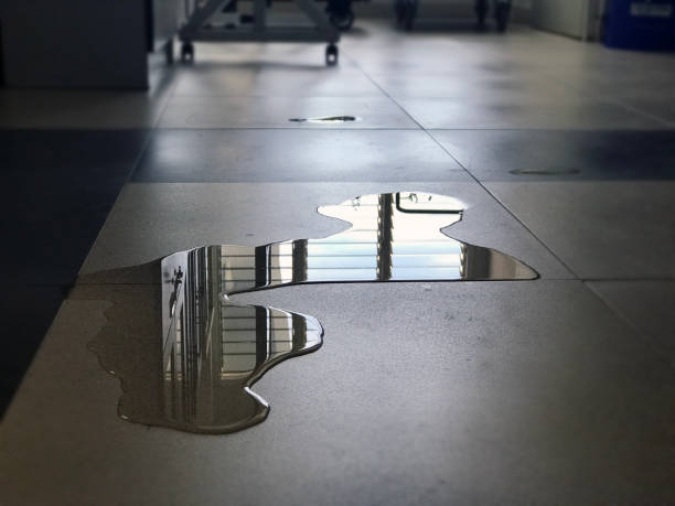 Best Emergency water damage restoration  in New Haven, MI