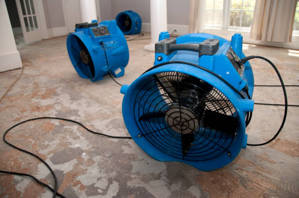 Best 24/7 water damage repair  in New Haven, MI