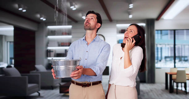 Best Sewage cleanup and water damage restoration  in New Haven, MI
